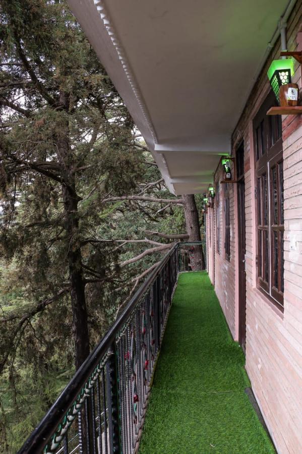 Jakhu Vibes Shimla