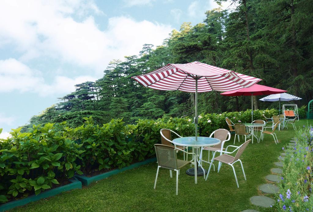 Honeymoon Shimla