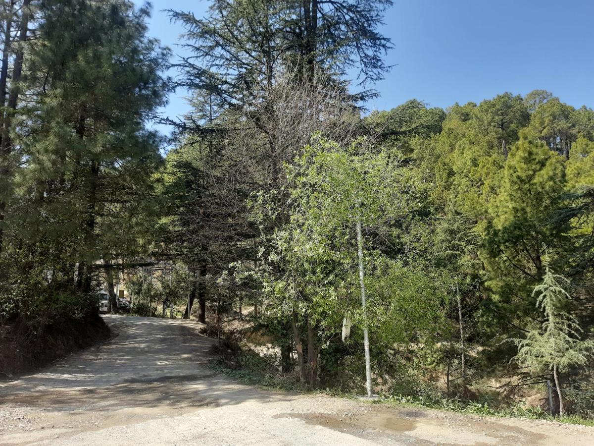 Apartment Aagaman Woods Shimla
