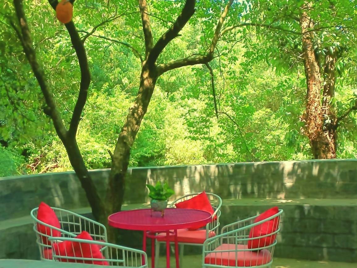 Resort Aamod At Shoghi Luxury 4*
