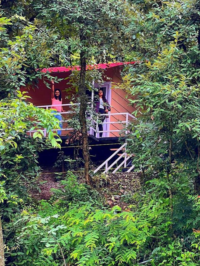 Aamod At Shoghi Luxury 4*