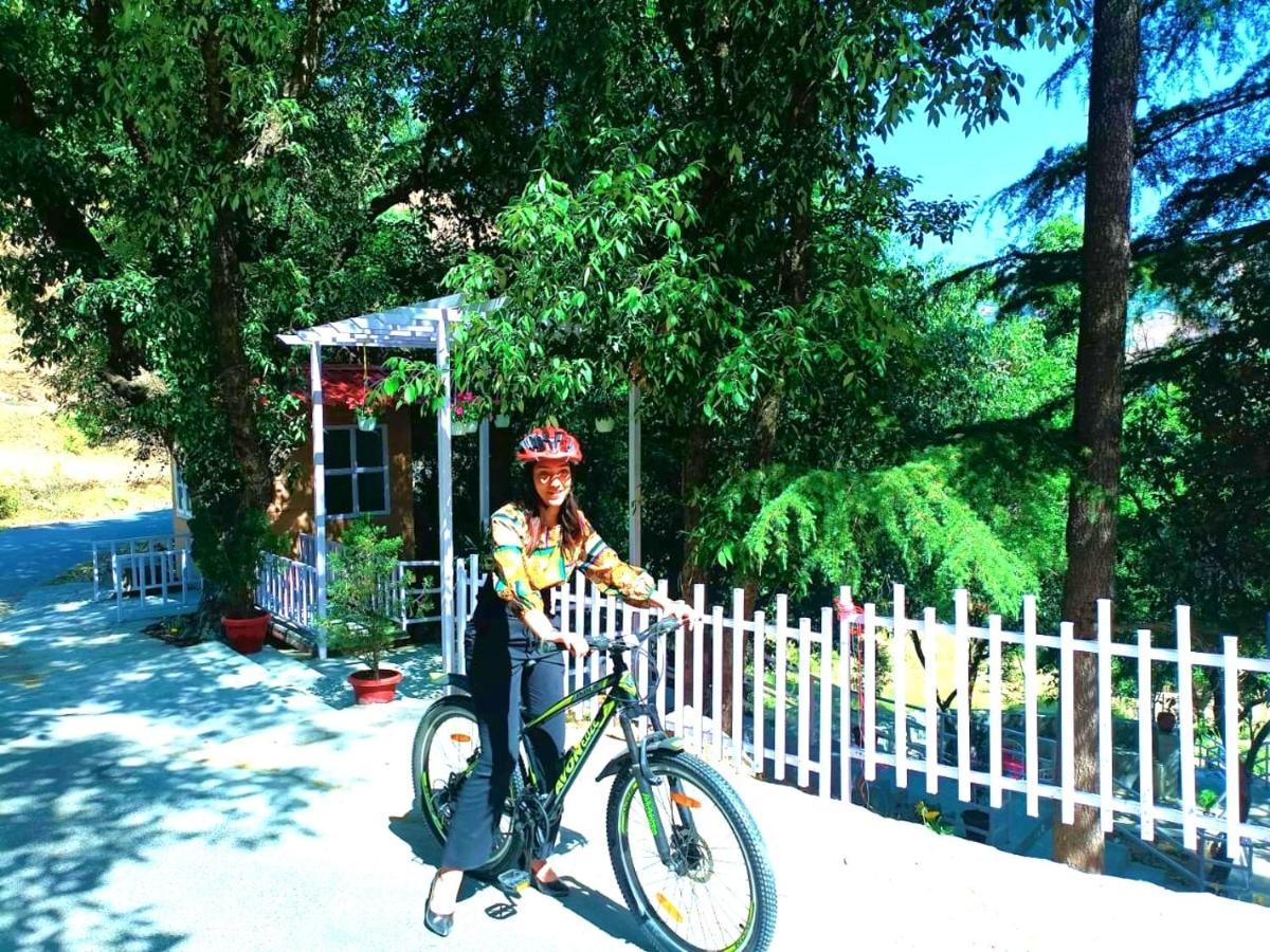Resort Aamod At Shoghi Luxury Shimla