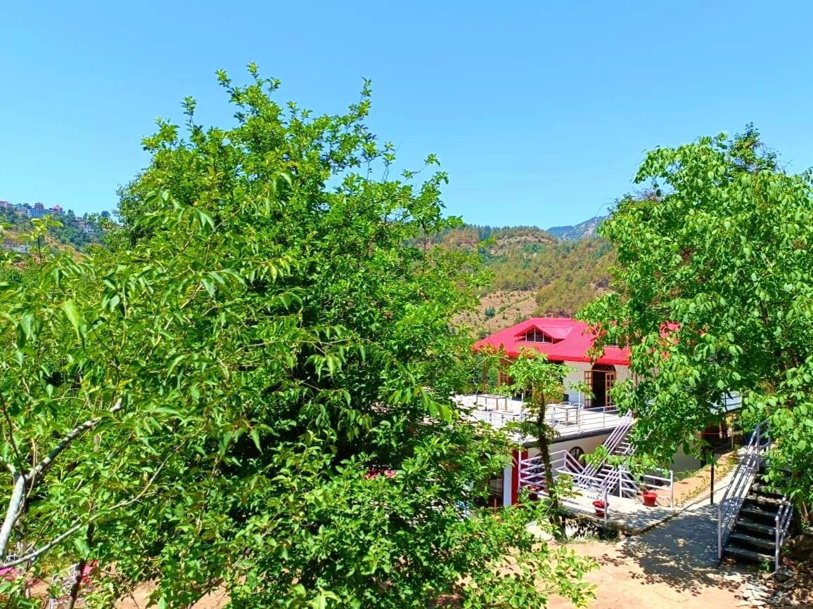 Resort Aamod At Shoghi Luxury 4*