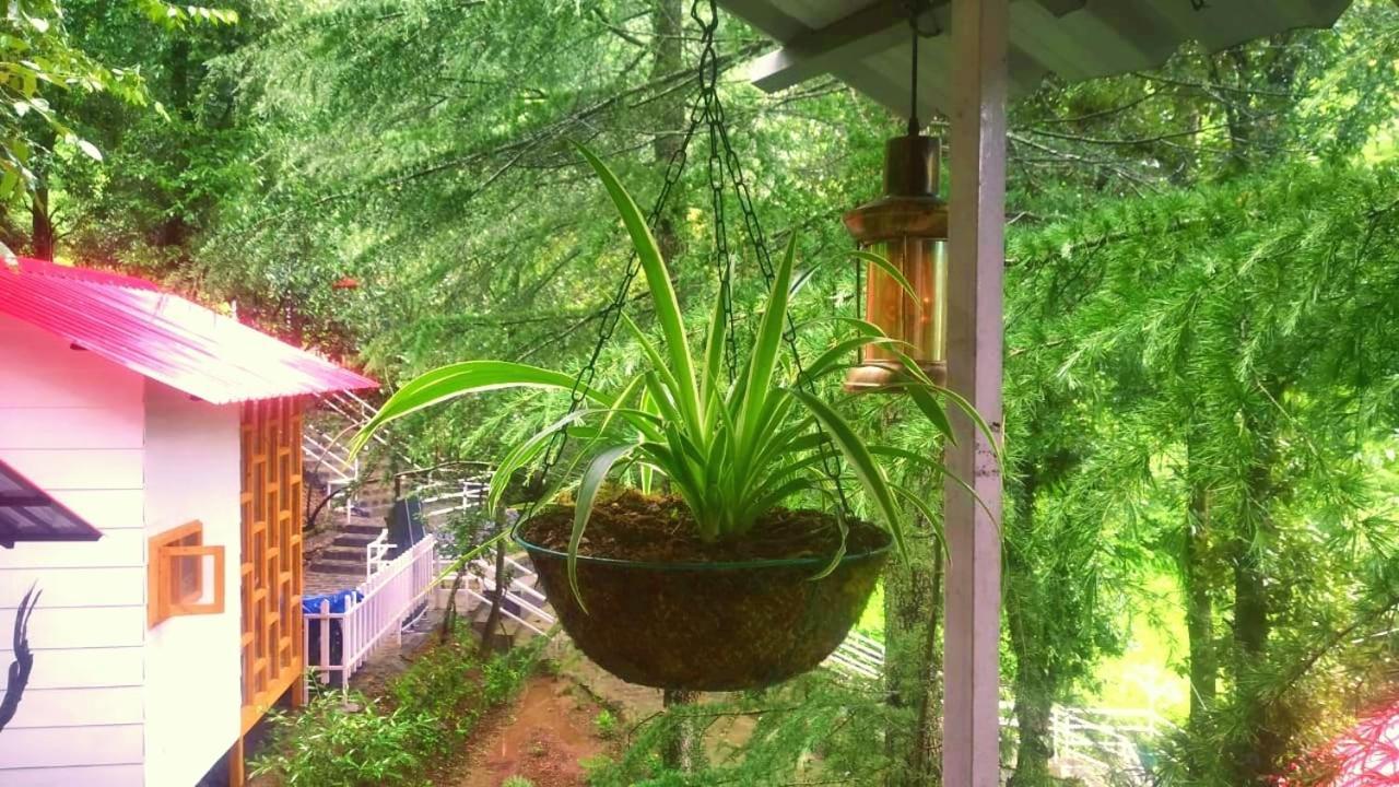 Resort Aamod At Shoghi Luxury 4*