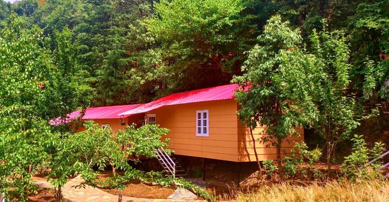 Aamod At Shoghi Luxury 4* Shimla