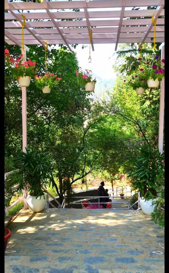 Aamod At Shoghi Luxury Resort
