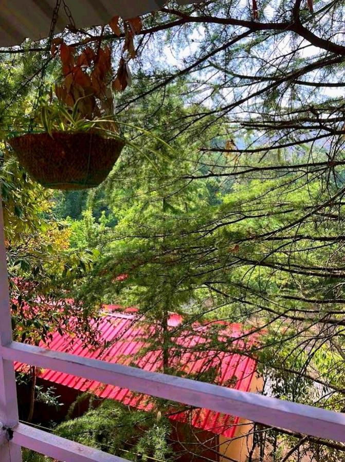 Aamod At Shoghi Luxury 4*