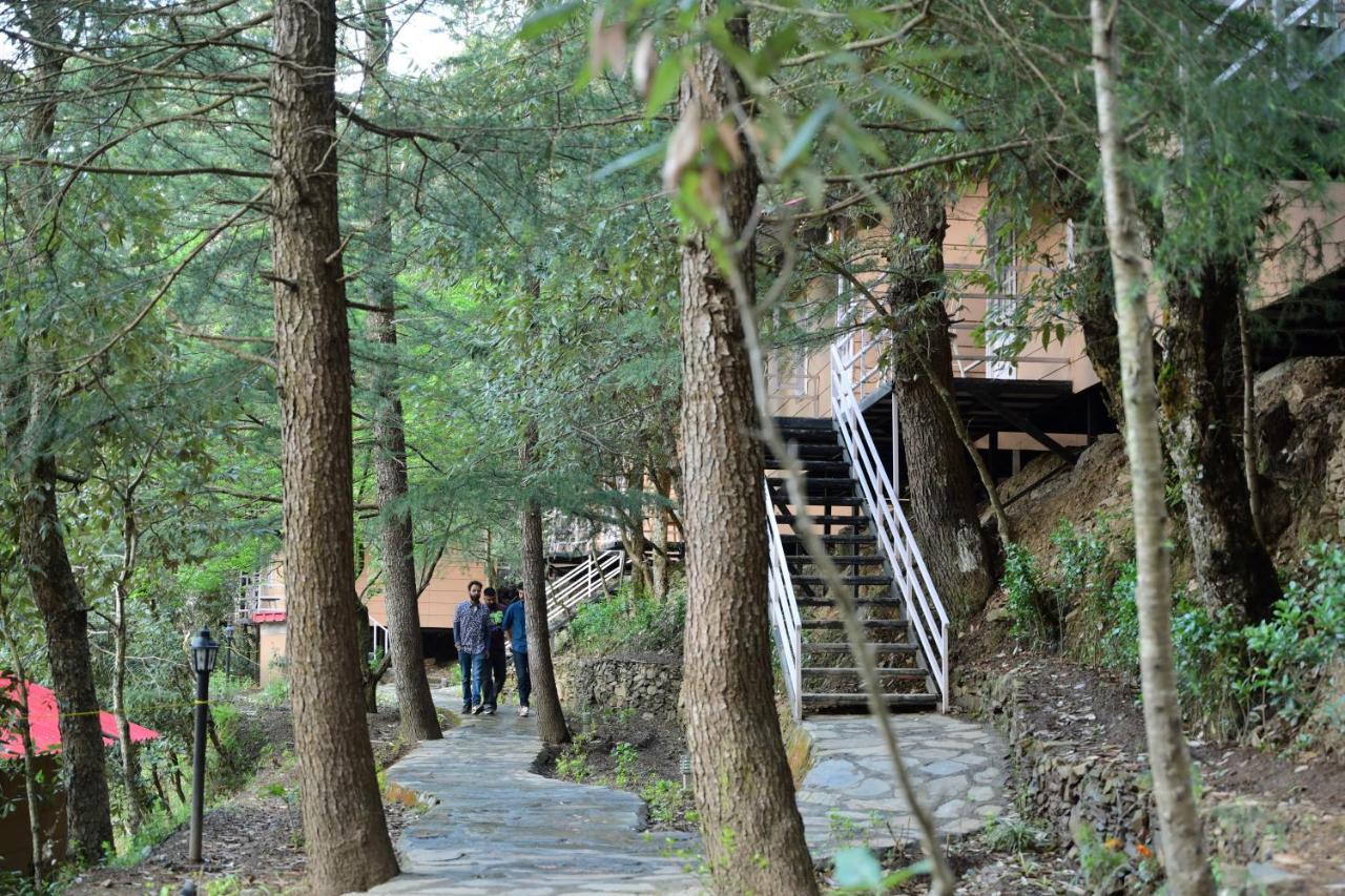Aamod At Shoghi Luxury