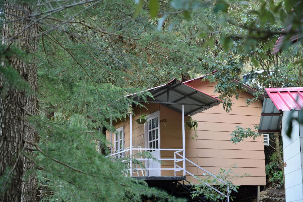 Aamod At Shoghi Luxury 4* Shimla