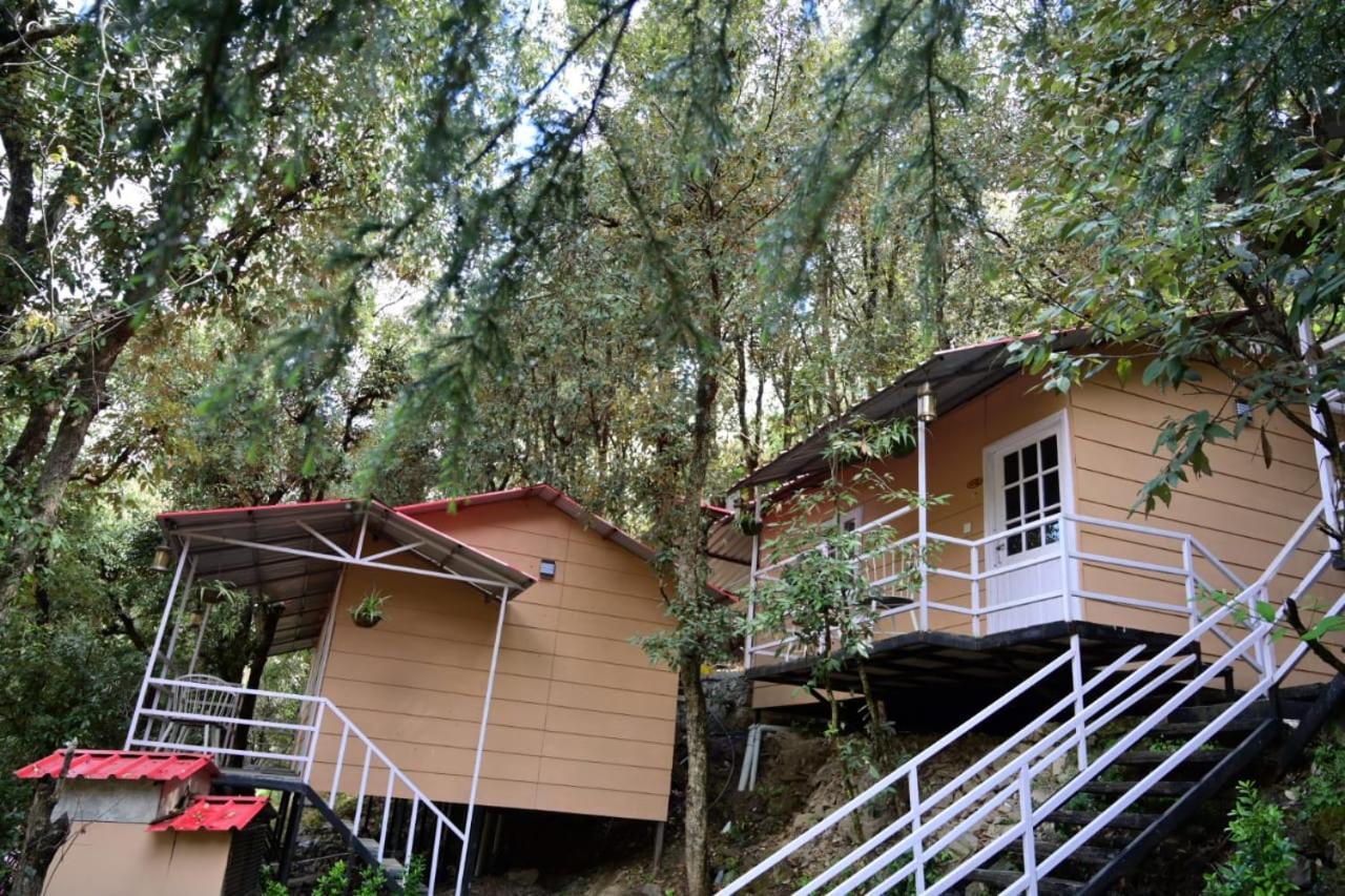 Aamod At Shoghi Luxury Resort 4*