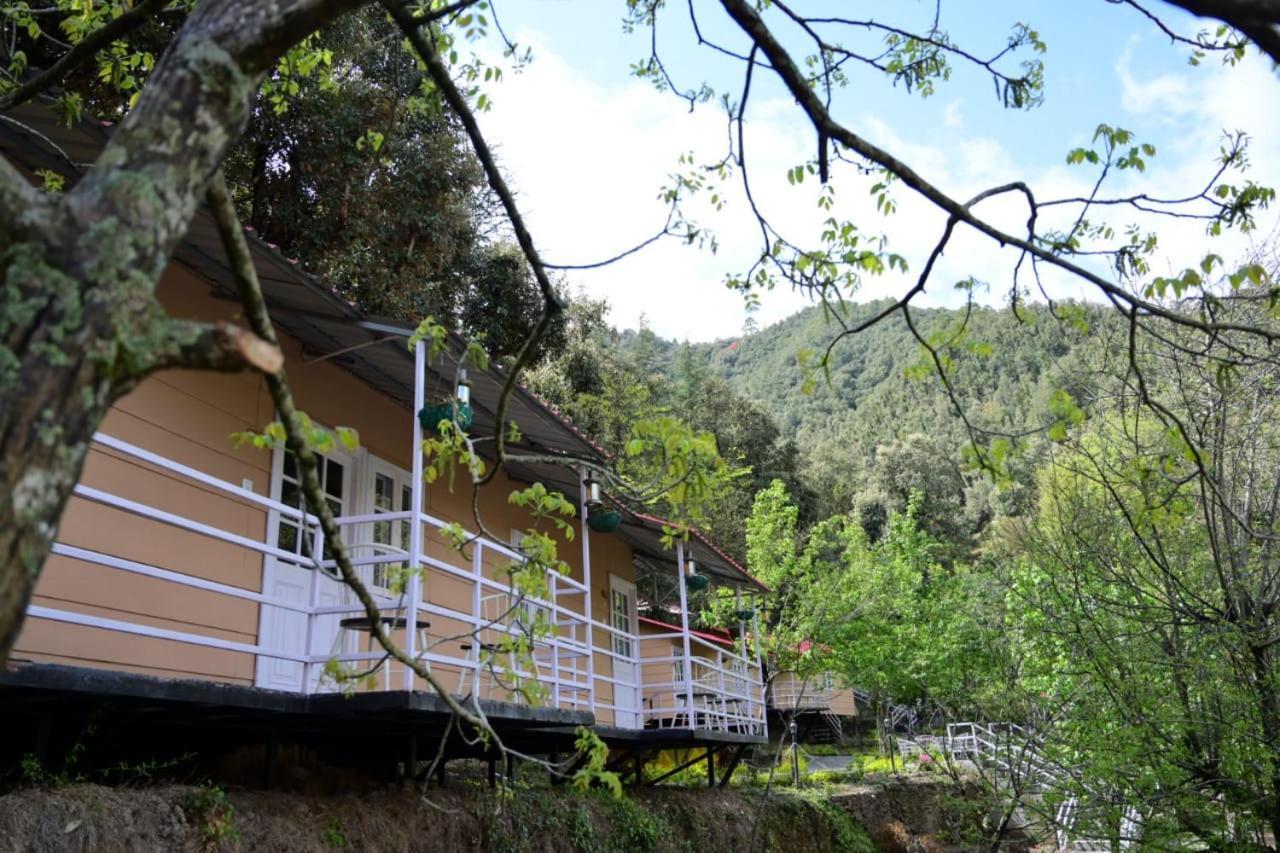 Resort Aamod At Shoghi Luxury 4*