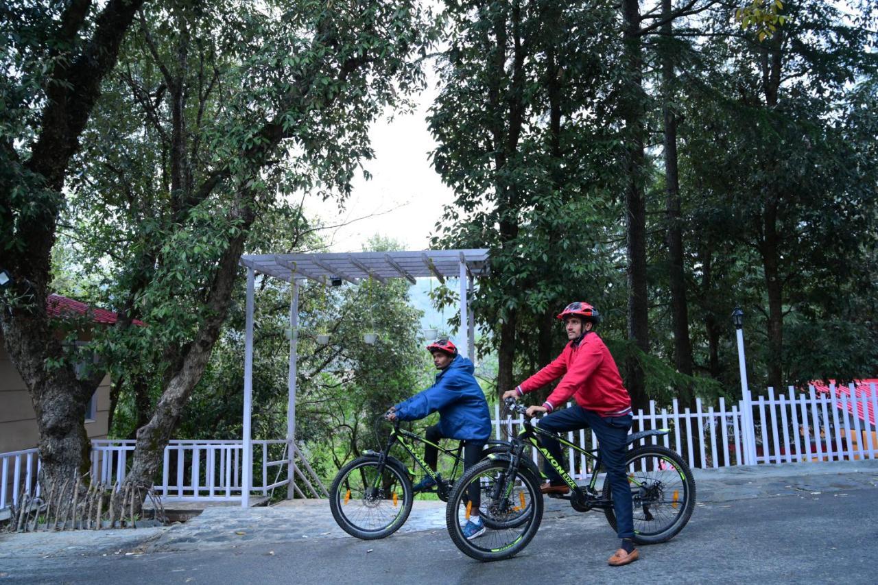 Resort Aamod At Shoghi Luxury 4*