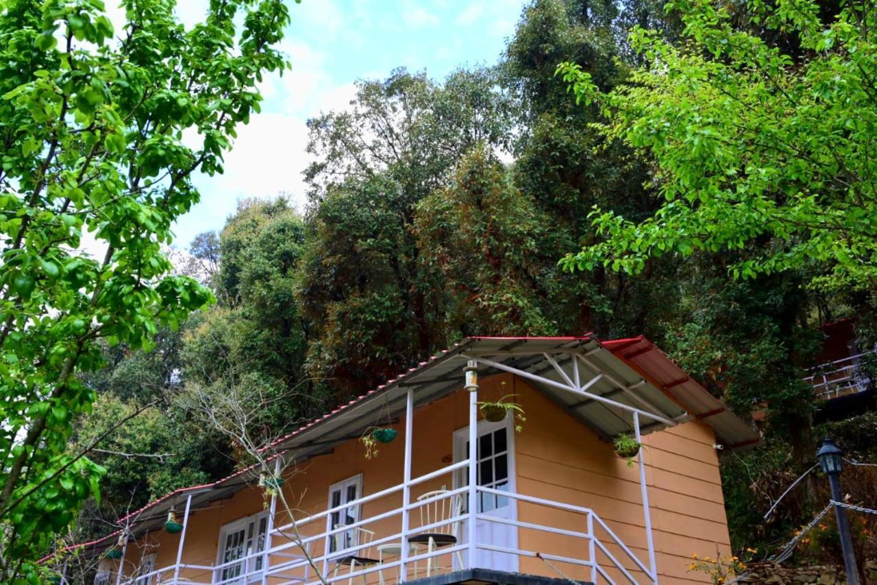 Aamod At Shoghi Luxury Resort