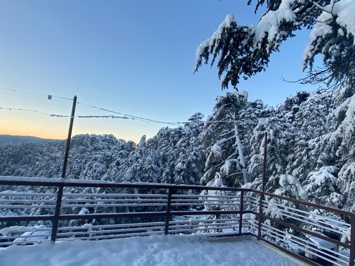 Viva Heights Shimla