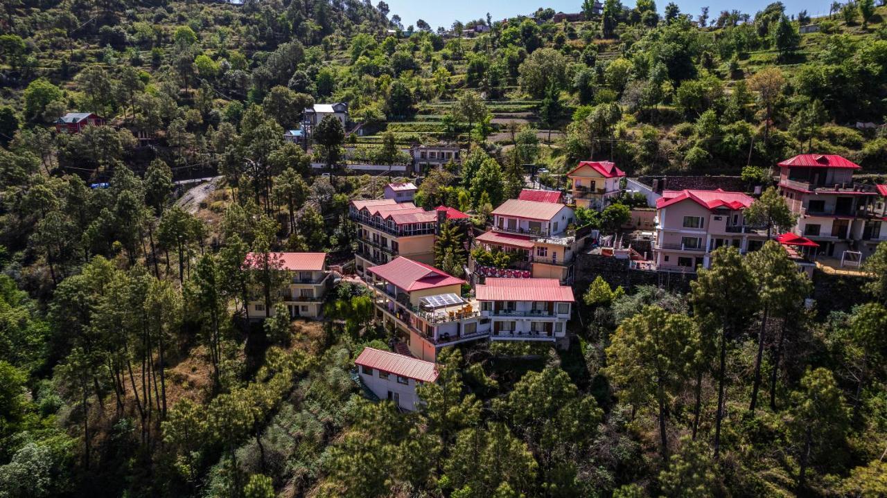 Resort Maple Chail