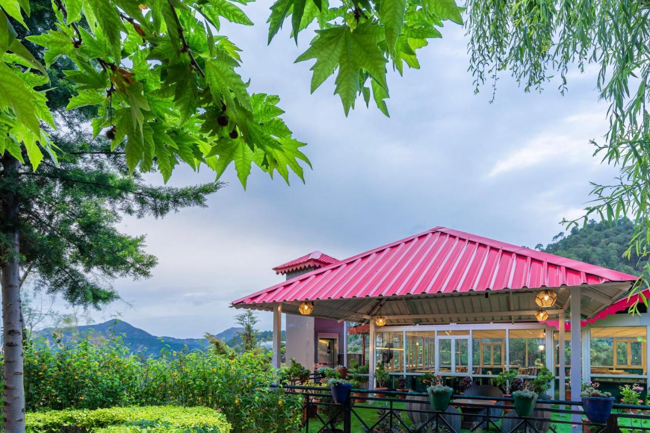 Maple Resort