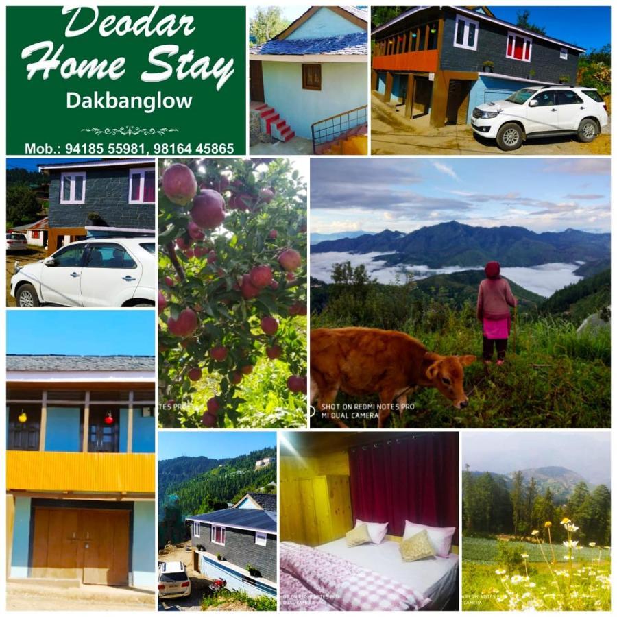 Deodar Dakbangla-kufri * Shimla