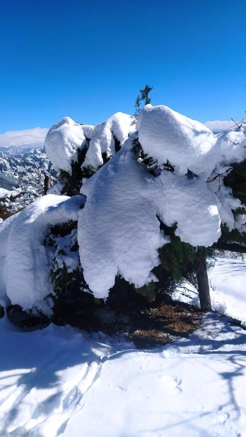Holiday home Deodar Dakbangla-kufri