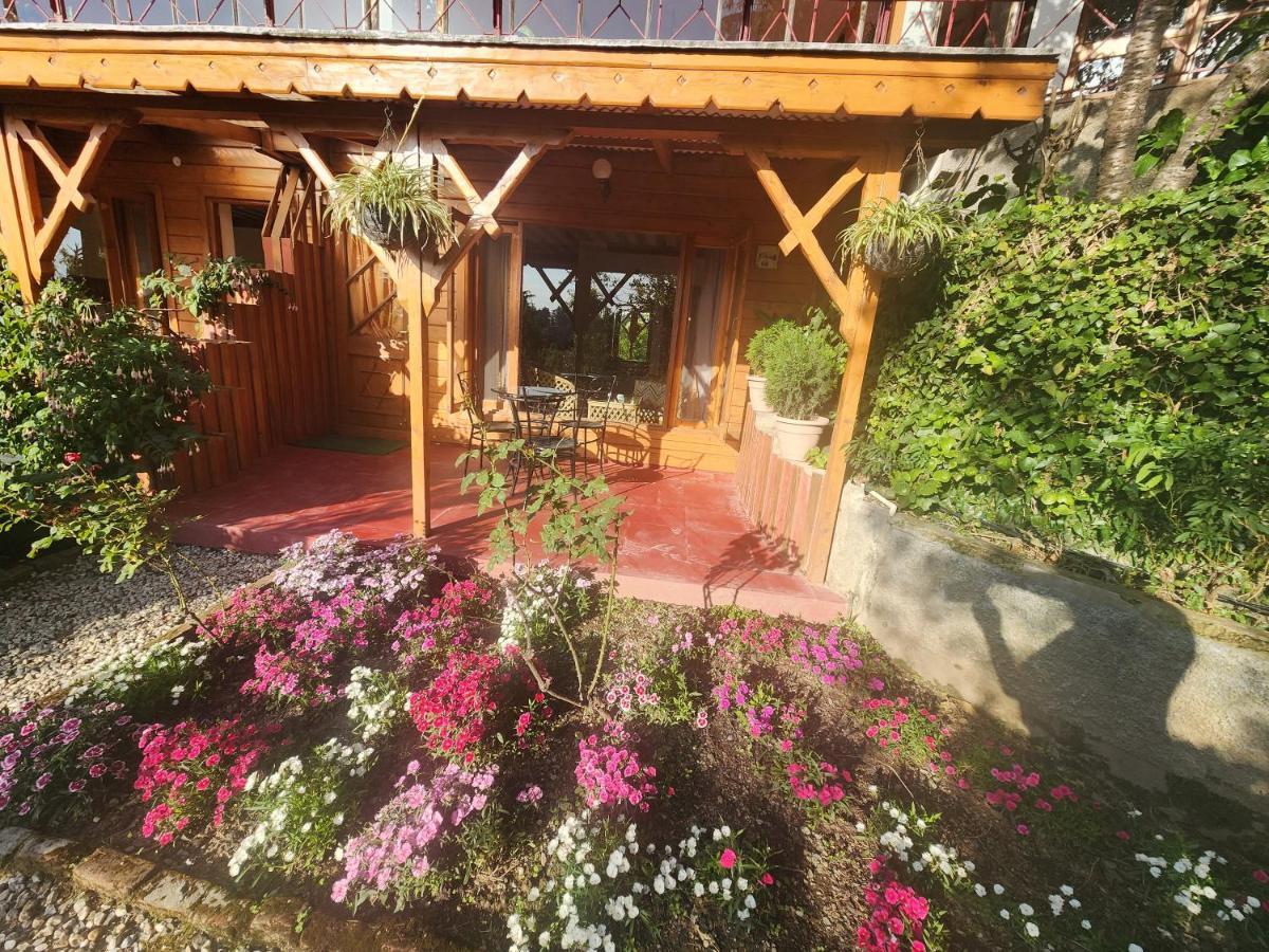 The Naldehra Resort