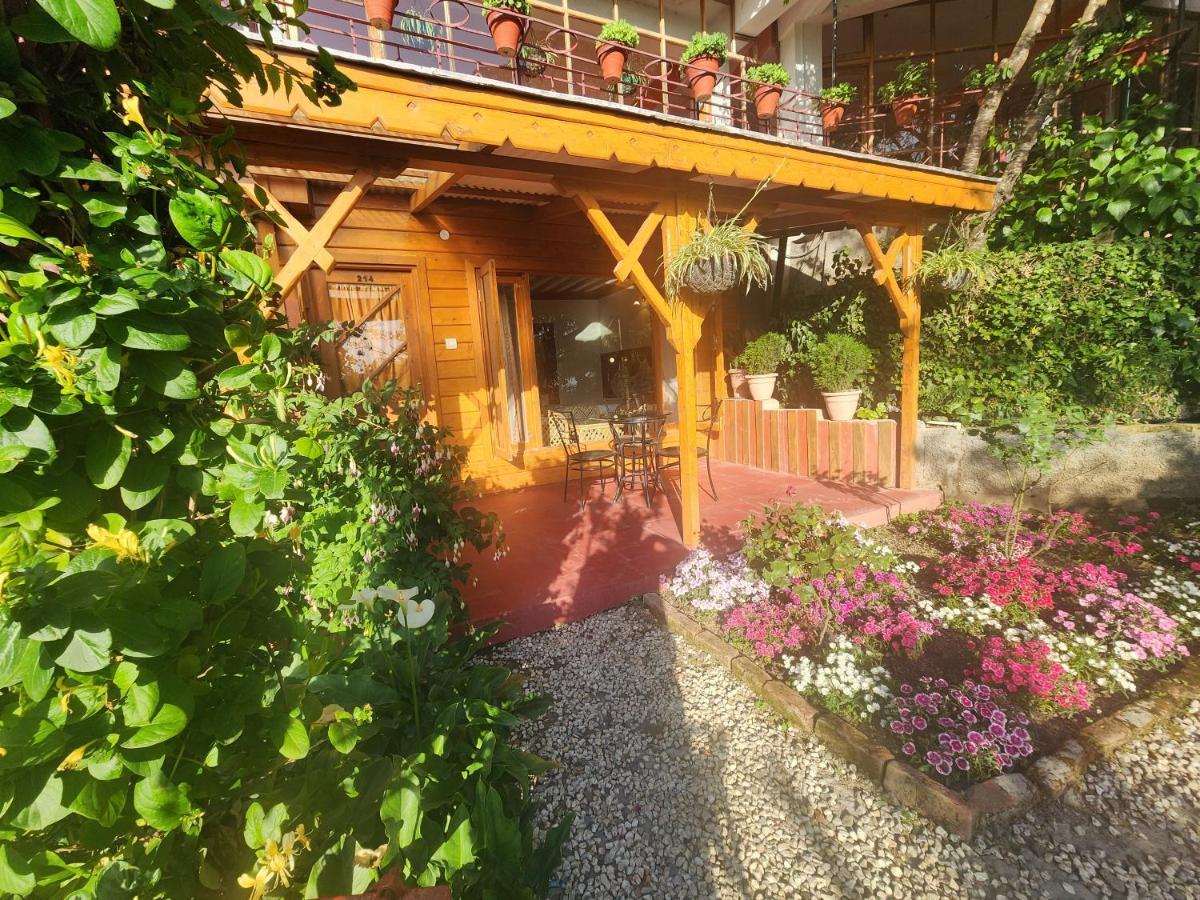 Resort The Naldehra Shimla