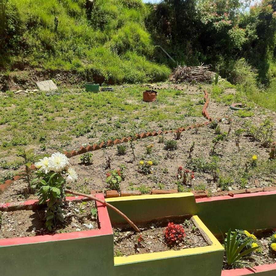 Aagaman Woods Shimla