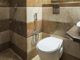 Hotel Shingar
