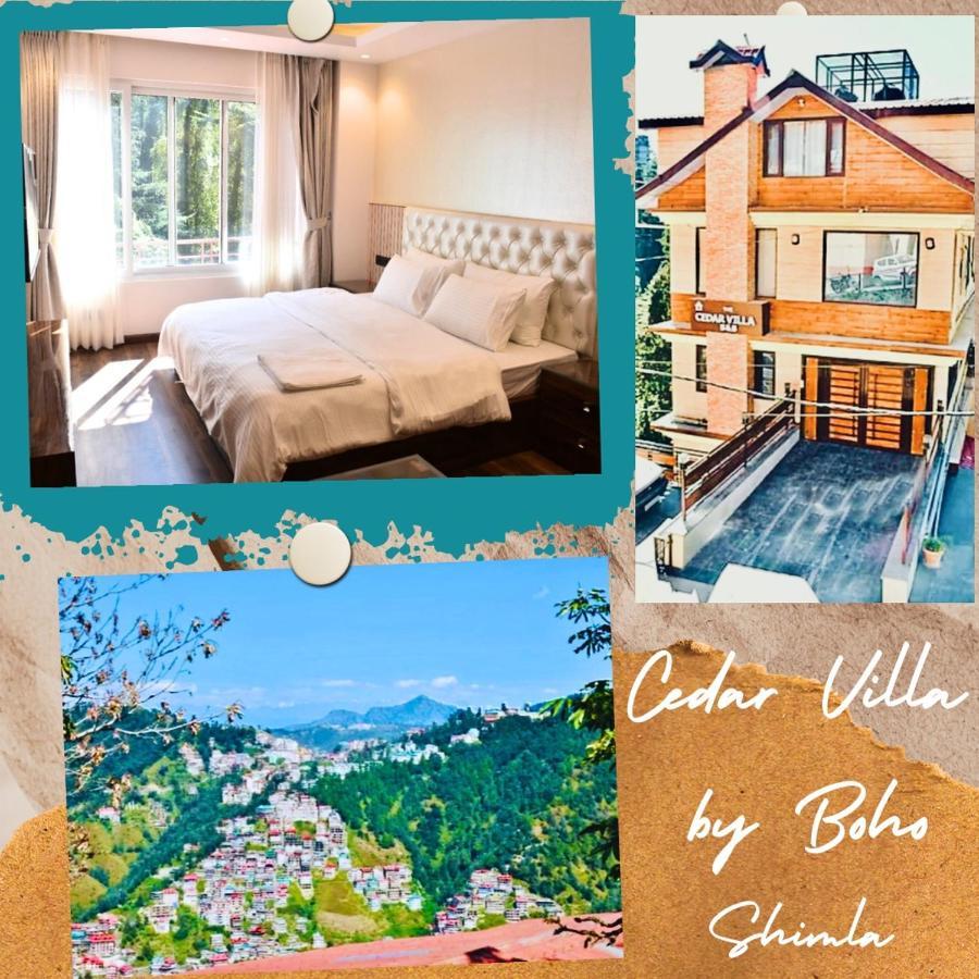 Bed & Breakfast The Cedar *