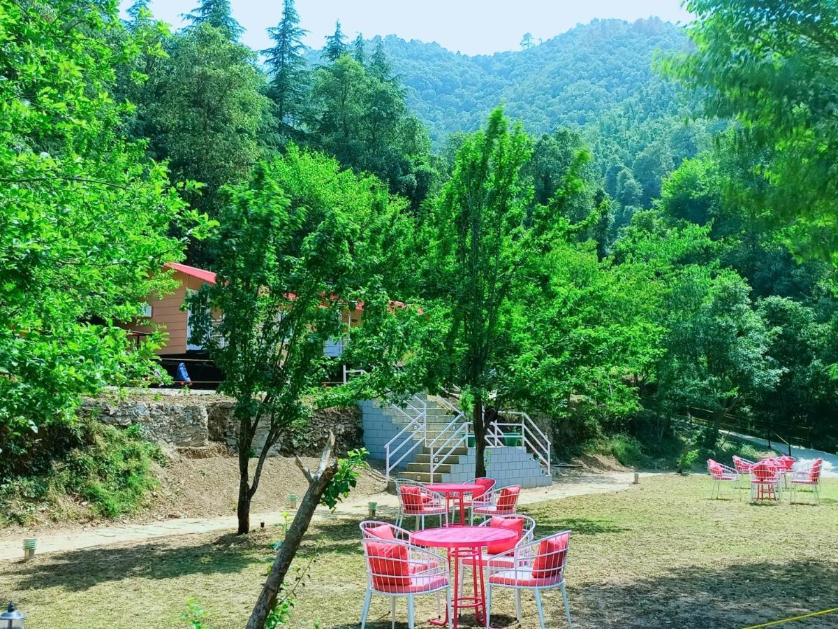 Aaroham ! Luxury By Aamod Group * Shimla
