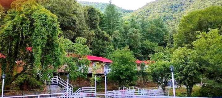 Resort Aaroham ! Luxury By Aamod Group Shimla