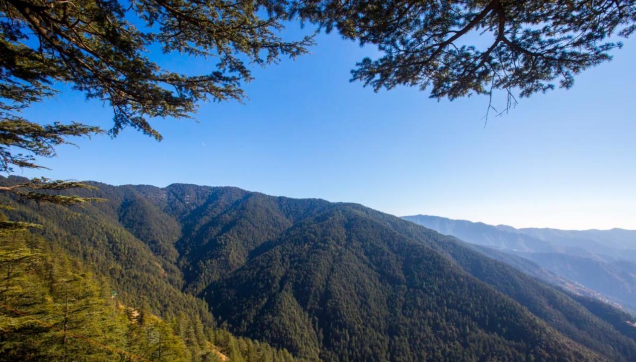 Hotel Woodrina Shimla