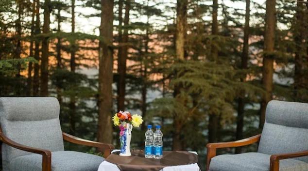 Hotel Woodrina Shimla
