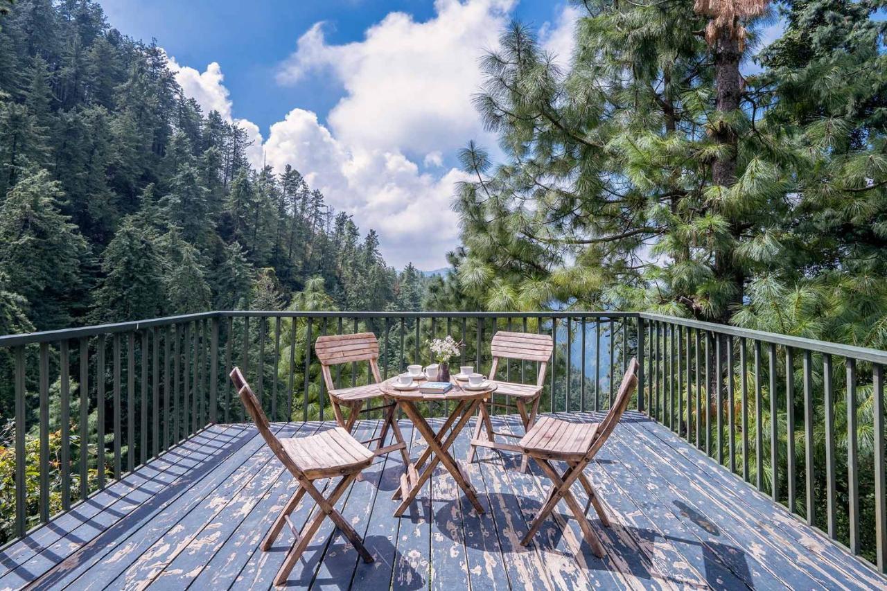 Stayvista At Under The Pines Villa Shimla