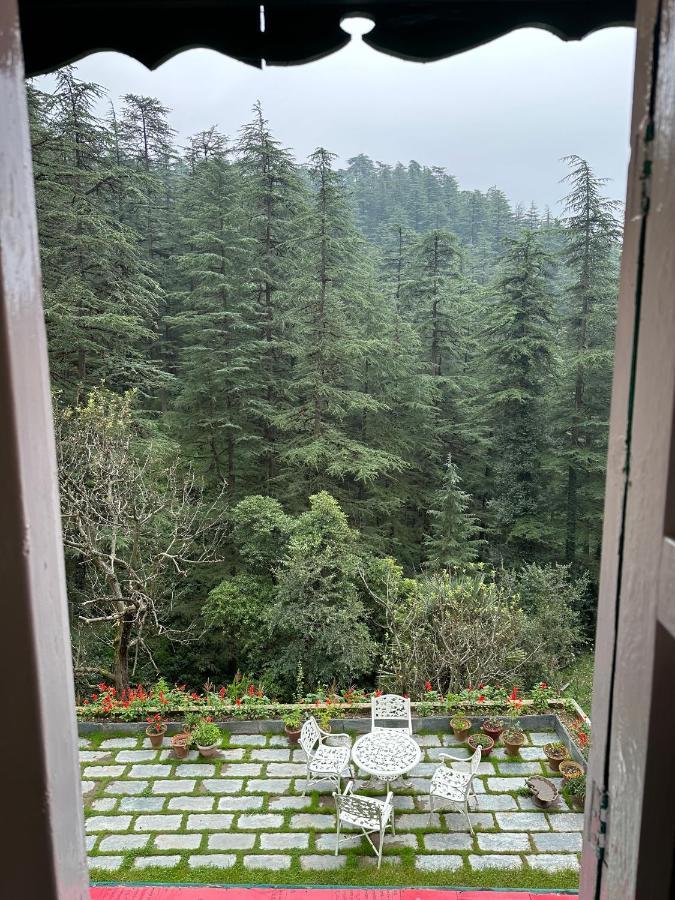 Villa Dimple Lodge, Shimla