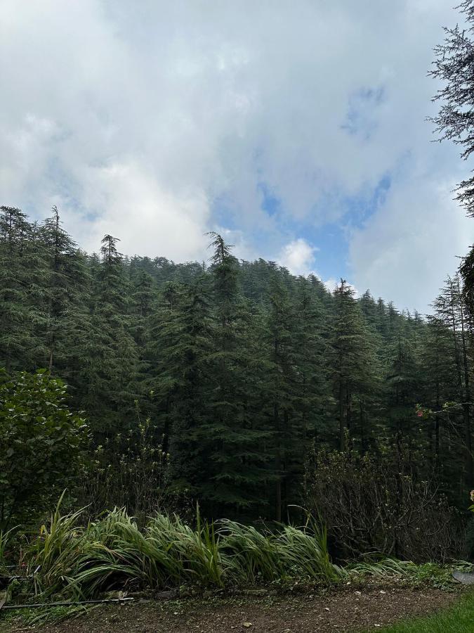 Dimple Lodge, Villa Shimla