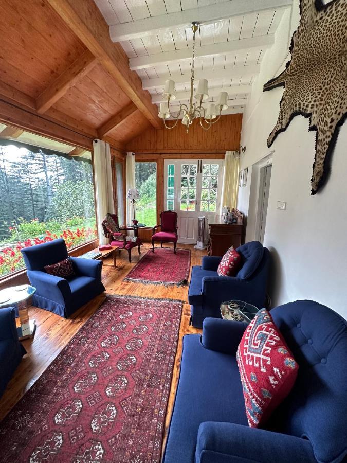Villa Dimple Lodge, *