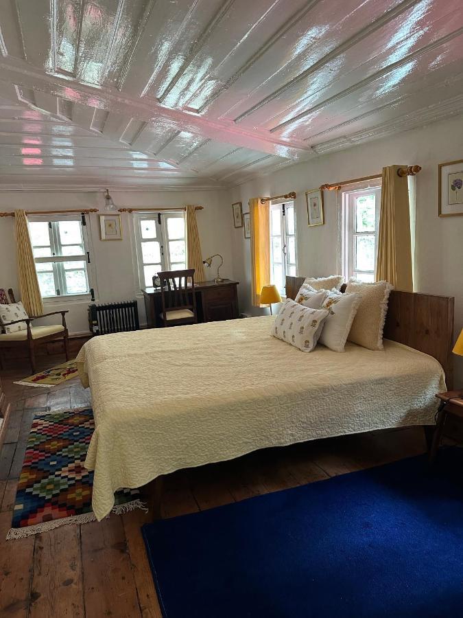 Dimple Lodge, * Shimla