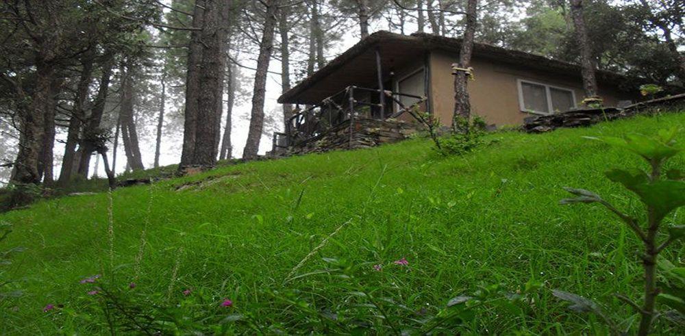 Hotel Aamod Shimla
