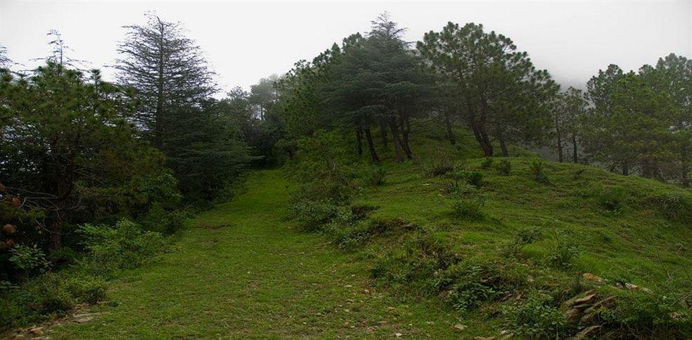 Aamod 4* Shimla