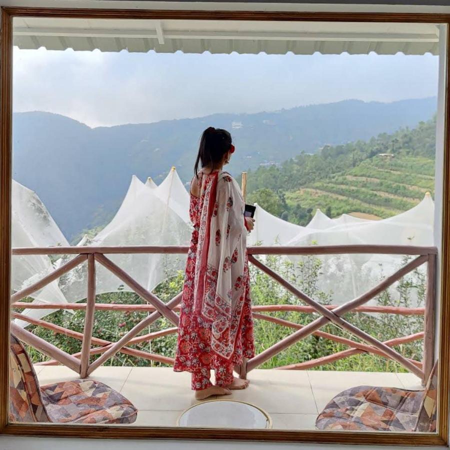 Resort Tree Nest Shimla