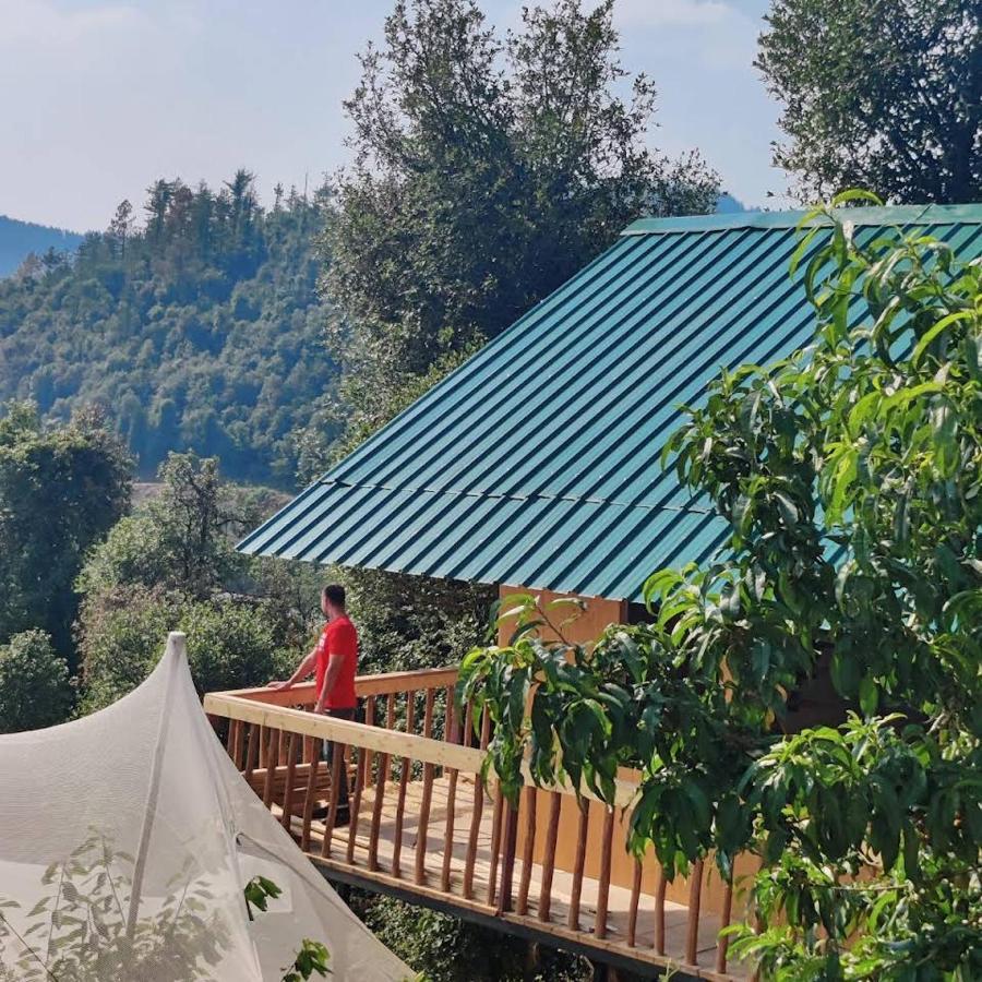 Tree Nest Resort Shimla
