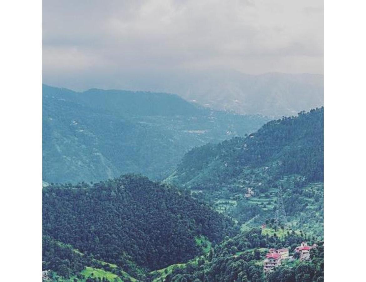 Hills View Paradise ,shimla Hotel