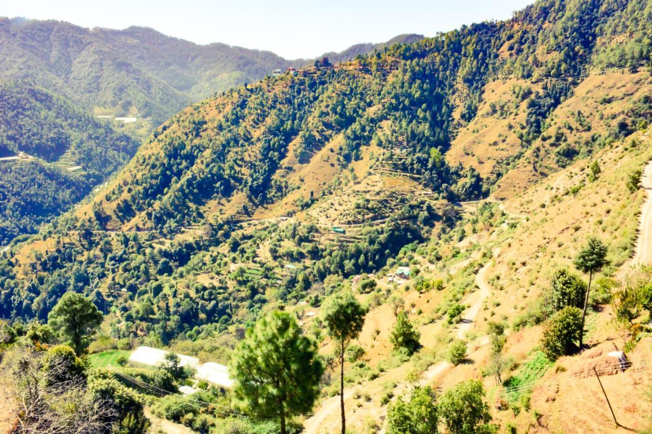 Wintervalleychail *