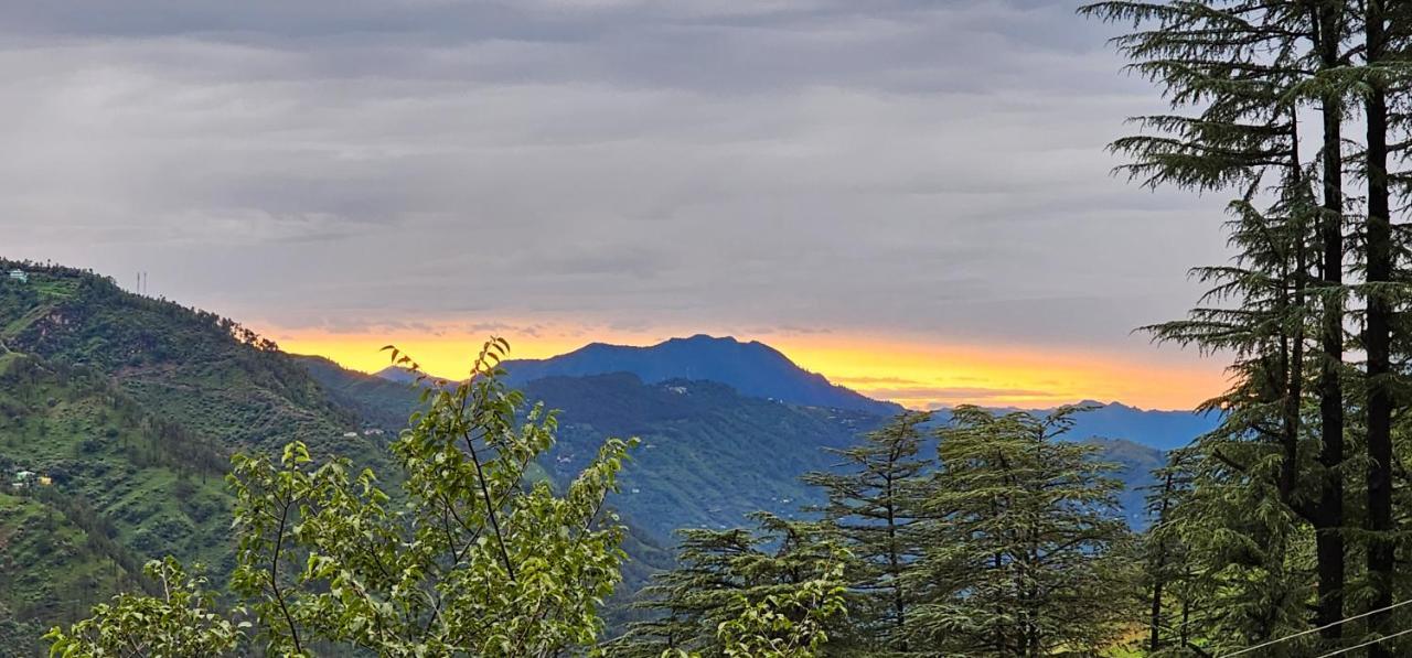 Hotel Tranquil By Alcor Shimla