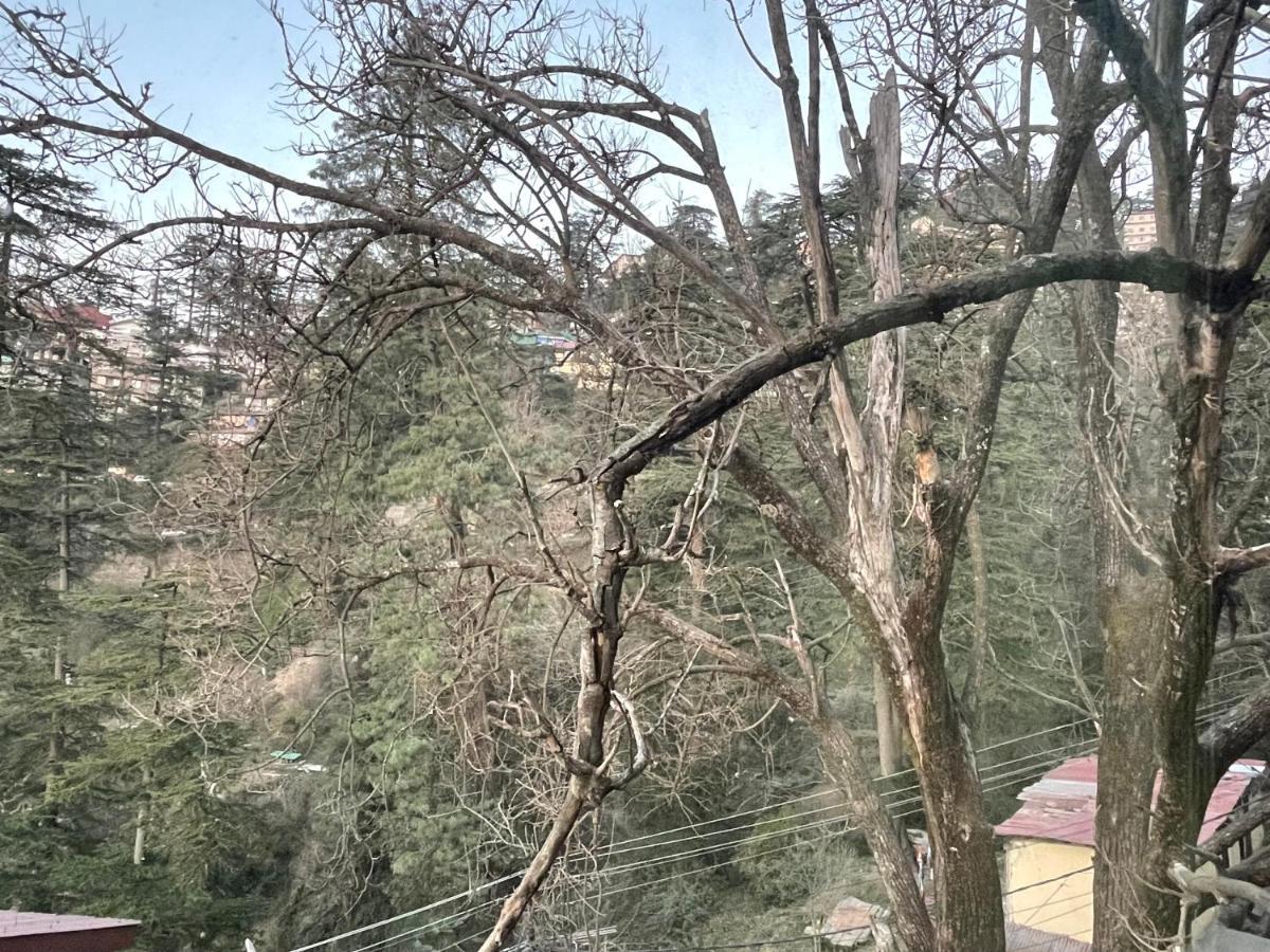 Aarika Near Mall Road