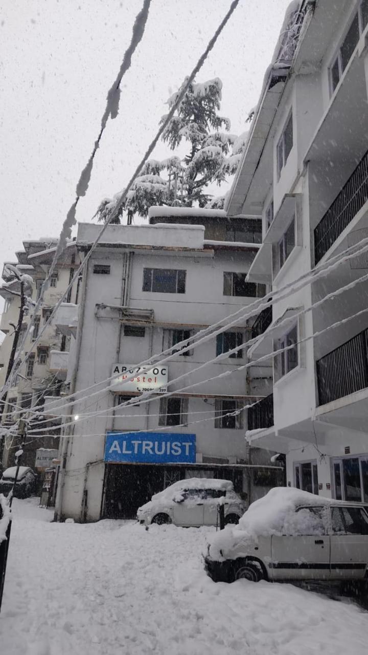 Abuzz Oxfordcaps * Shimla