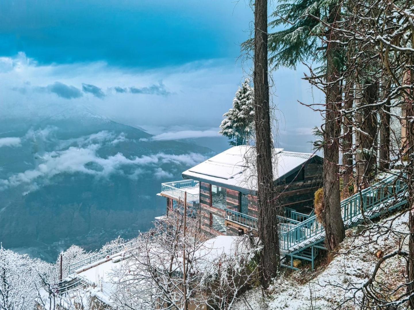 Saroga Woods Shimla