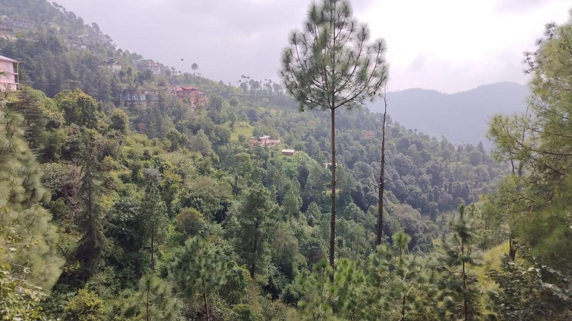 Goroomgo Homestay Sukh Dham - Homestay Like Feeling Mountain View 3*