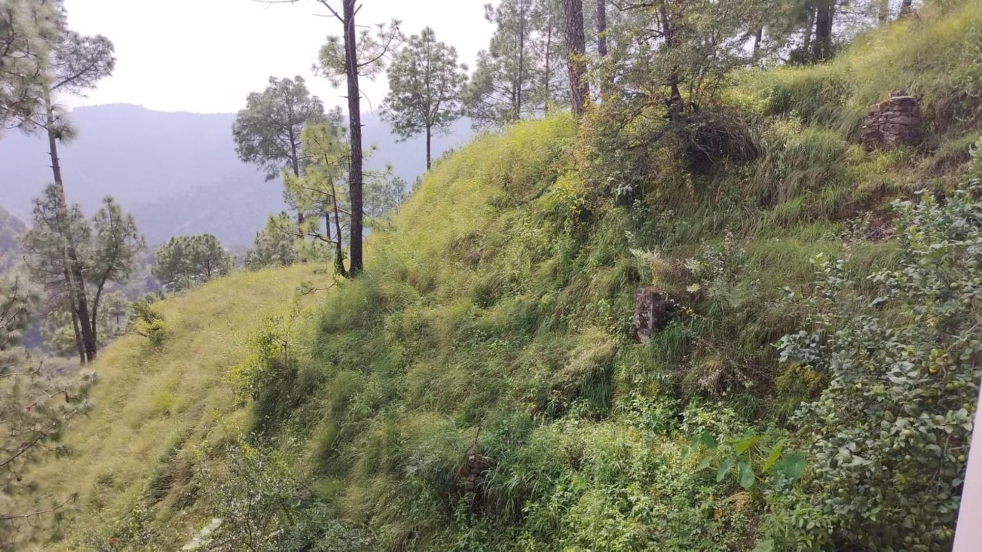 Hotel Goroomgo Homestay Sukh Dham - Homestay Like Feeling Mountain View