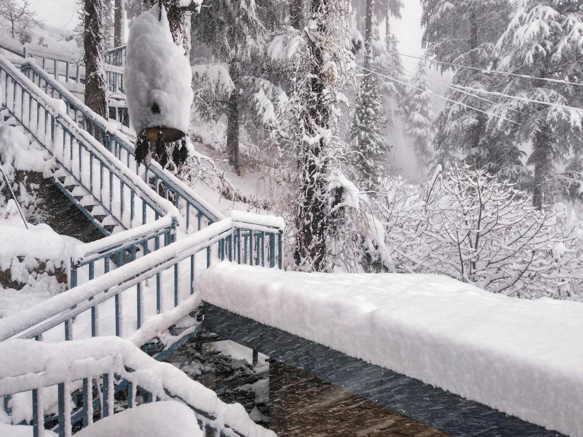 Homestay Saroga Woods Shimla