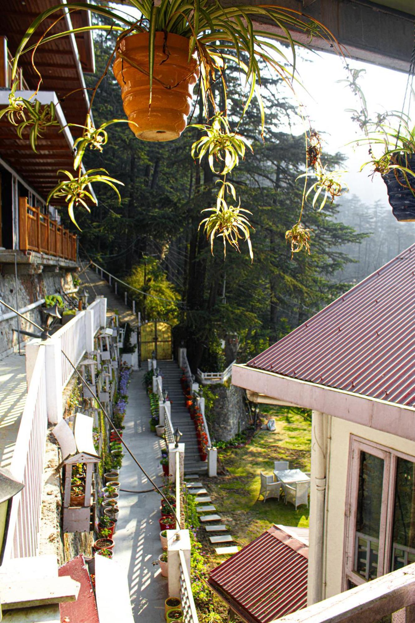 Villa Whispering Pines Shimla